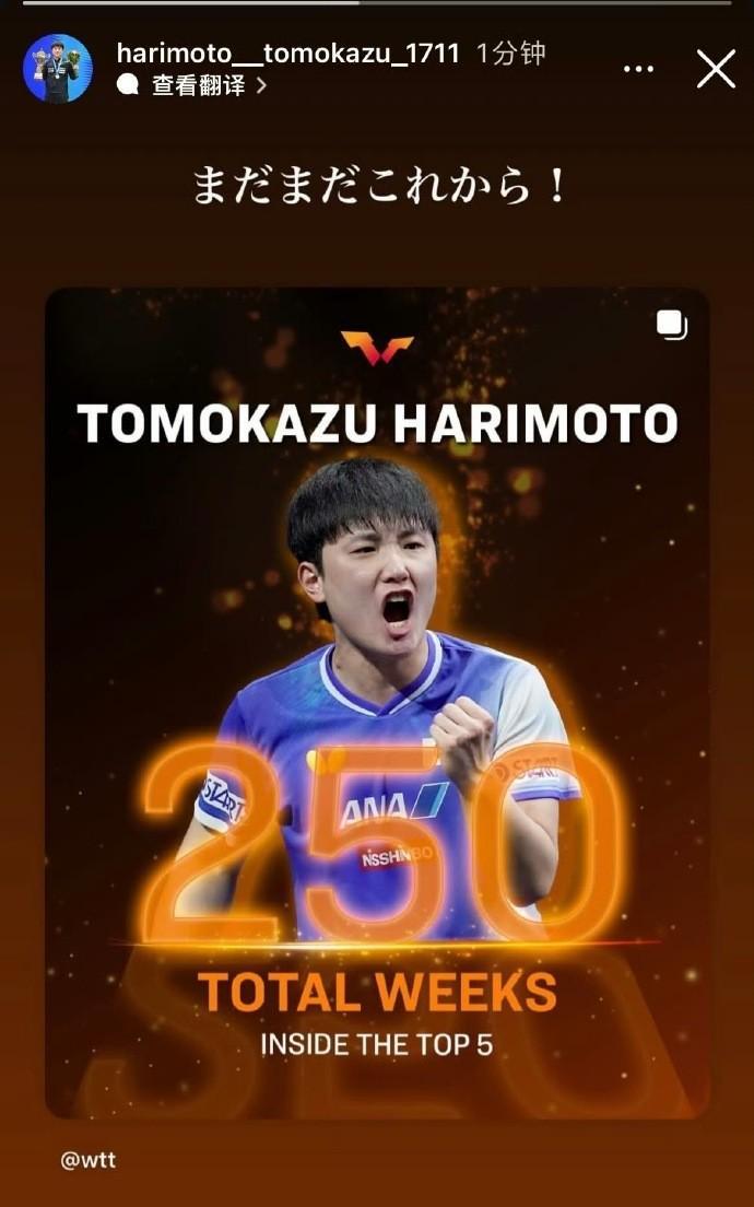 累计250周排名世界前五，张本智和：现在才刚刚开始呢！
